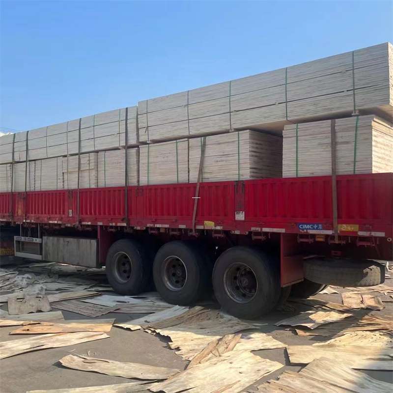 新邵县探寻会东县进仓物流的多元运输奥秘